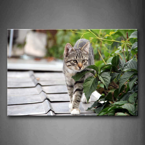 Gray Cat Walk On Roof Leaves Wall Art Painting Pictures Print On Canvas Animal The Picture For Home Modern Decoration 