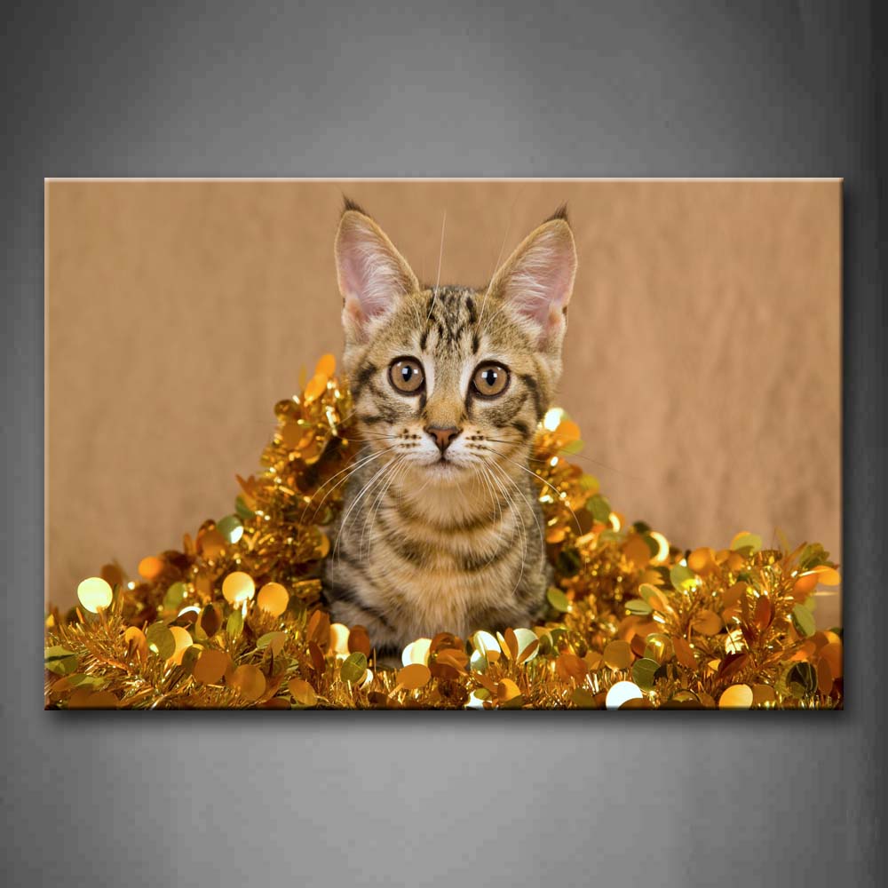 Yellow Cat Wear Golden Clothes Wall Art Painting The Picture Print On Canvas Animal Pictures For Home Decor Decoration Gift 