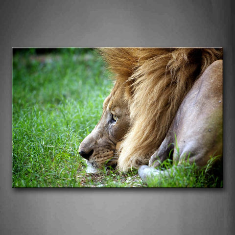 Lion Lie On Green Lawn  Wall Art Painting The Picture Print On Canvas Animal Pictures For Home Decor Decoration Gift 