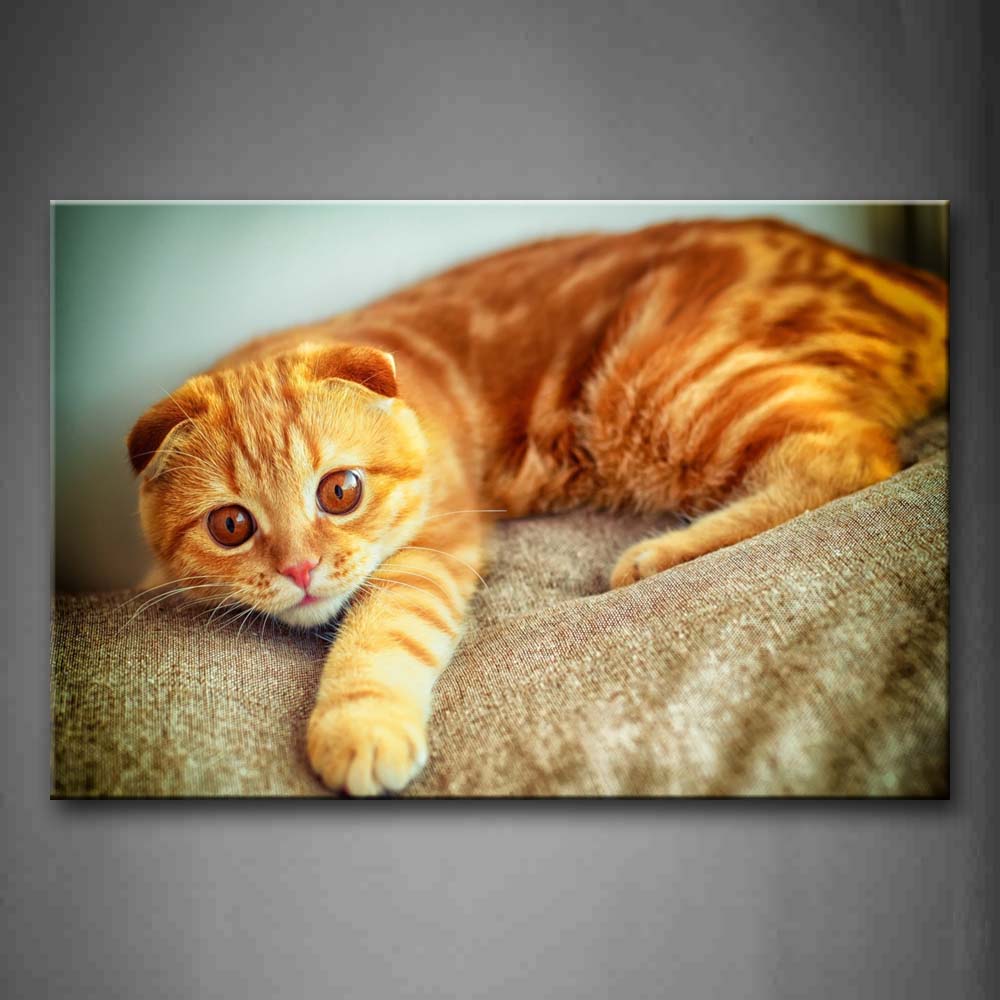 Brown Cute Yellow Cat Lie On Bed  Wall Art Painting Pictures Print On Canvas Animal The Picture For Home Modern Decoration 