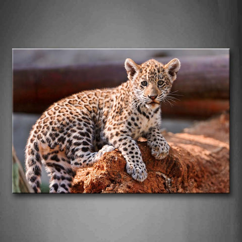 Brown Leopard Stand On Rock Wall Art Painting The Picture Print On Canvas Animal Pictures For Home Decor Decoration Gift 