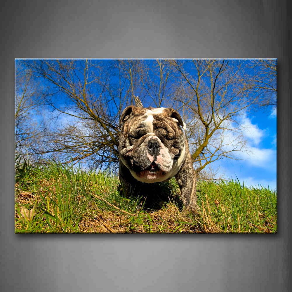 Dog Stand On Lawn Near Tree  Wall Art Painting Pictures Print On Canvas Animal The Picture For Home Modern Decoration 