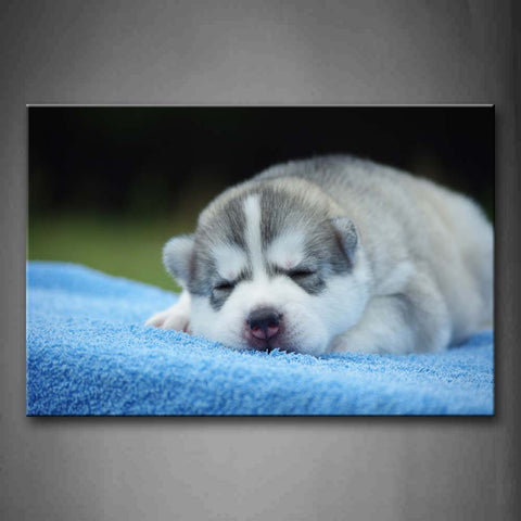 White Dog Sleep On Blue Blanket  Wall Art Painting Pictures Print On Canvas Animal The Picture For Home Modern Decoration 