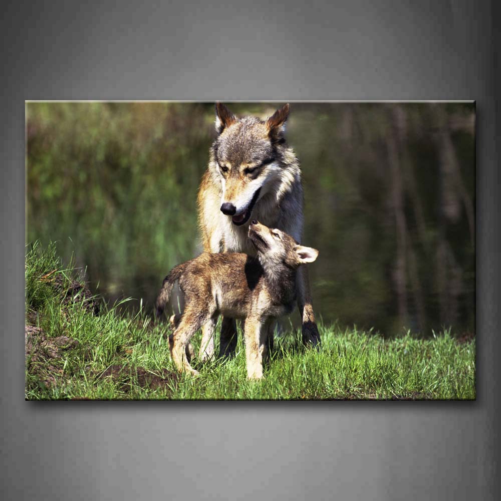 Two Wolves Stand On Grass Wall Art Painting Pictures Print On Canvas Animal The Picture For Home Modern Decoration 