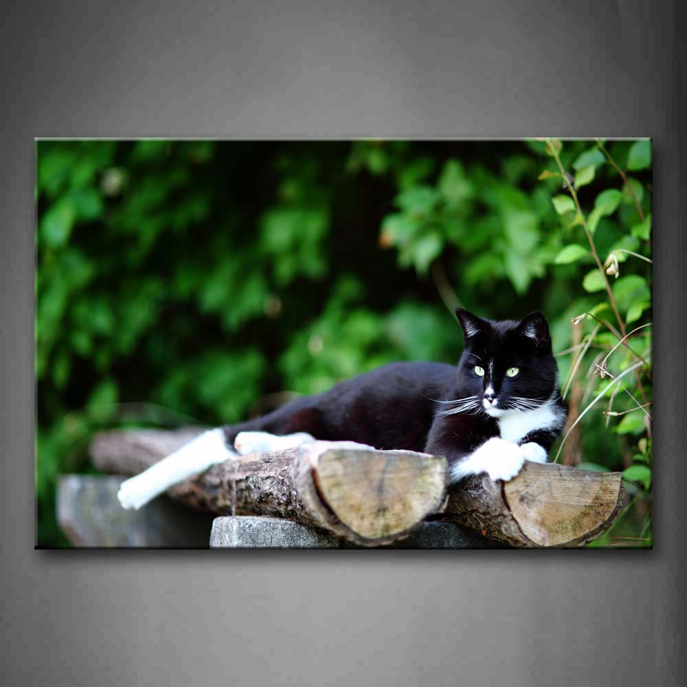 Black Cat Lie On Wood Near Tree Wall Art Painting The Picture Print On Canvas Animal Pictures For Home Decor Decoration Gift 