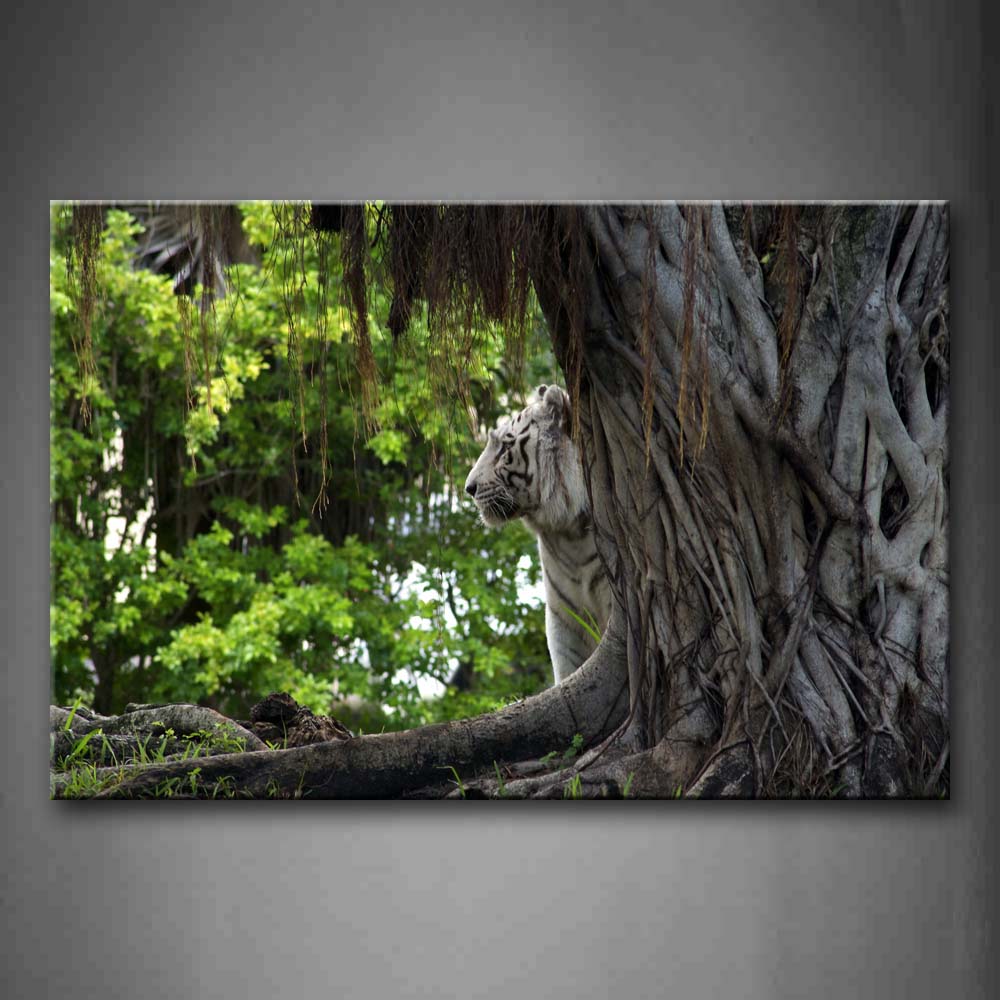 White Tiger Stand By A Tree Wall Art Painting Pictures Print On Canvas Animal The Picture For Home Modern Decoration 