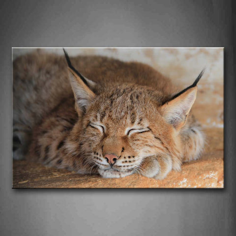 Lynx Sleep On Soil Wall Art Painting The Picture Print On Canvas Animal Pictures For Home Decor Decoration Gift 