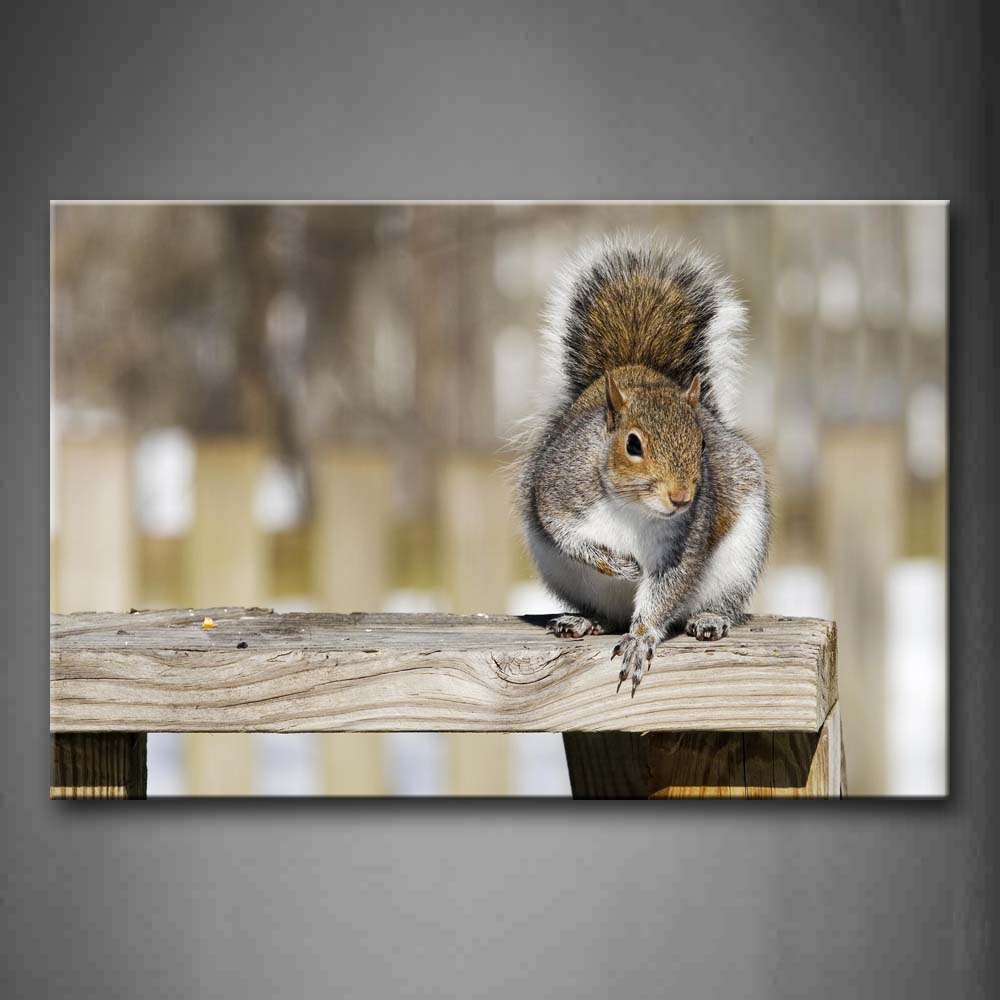 Squirrel Stand On Wooden Bench Wall Art Painting The Picture Print On Canvas Animal Pictures For Home Decor Decoration Gift 