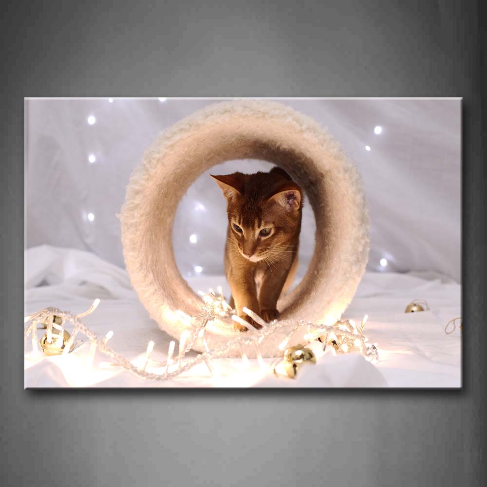 Brown Cat Walk On Circle Near Bell Wall Art Painting Pictures Print On Canvas Animal The Picture For Home Modern Decoration 