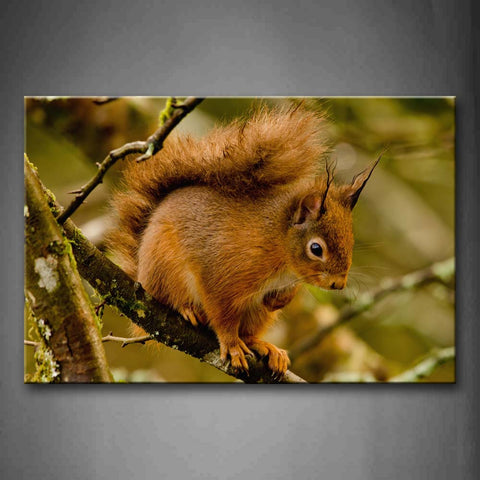 Yellow Squirrrel Stand On Branch Look Down Wall Art Painting The Picture Print On Canvas Animal Pictures For Home Decor Decoration Gift 