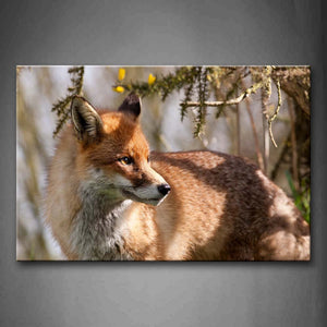 Yellow Fox Stand Near Tree Wall Art Painting The Picture Print On Canvas Animal Pictures For Home Decor Decoration Gift 