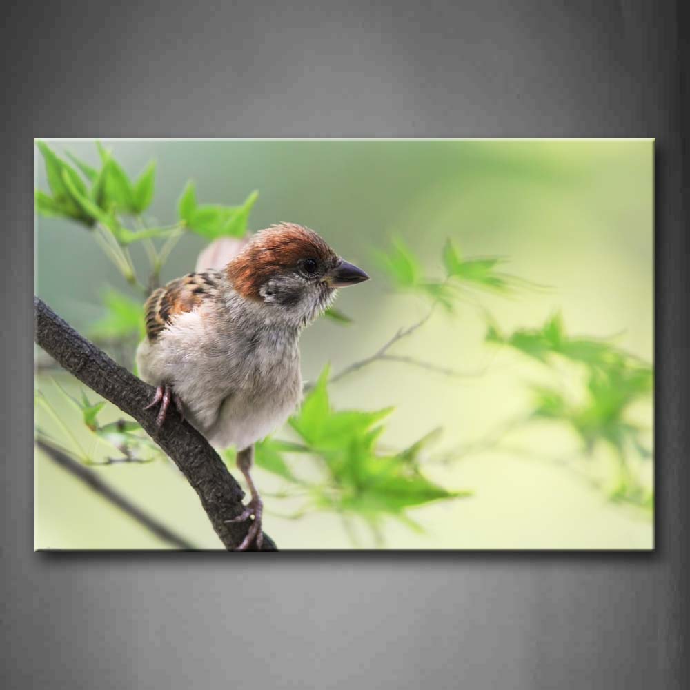 Brown Bird Stand On Branch With Green Leaves Wall Art Painting The Picture Print On Canvas Animal Pictures For Home Decor Decoration Gift 