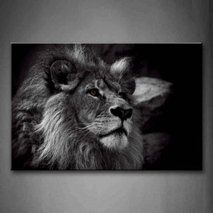 Black And White Gray Lion Head Portrait Wall Art Painting Pictures Print On Canvas Animal The Picture For Home Modern Decoration 