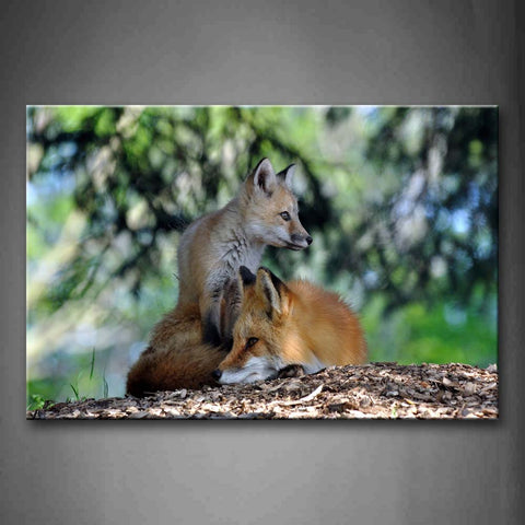 Two Foxes Lie On Land Near Tree Wall Art Painting Pictures Print On Canvas Animal The Picture For Home Modern Decoration 