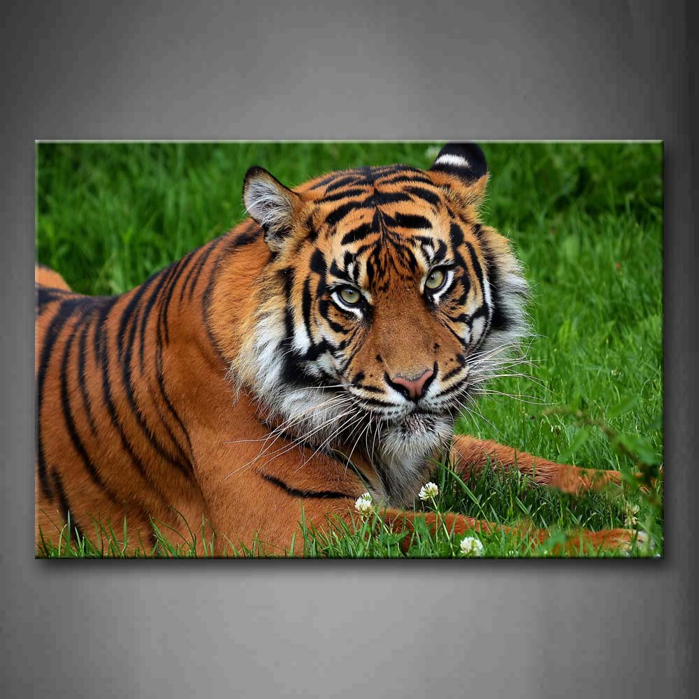 Tiger Lie On The Grass  Wall Art Painting The Picture Print On Canvas Animal Pictures For Home Decor Decoration Gift 