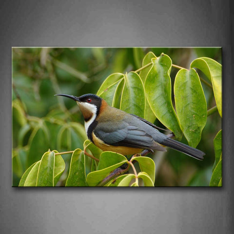 Blue Bird Stand On Branch Leaves  Wall Art Painting Pictures Print On Canvas Animal The Picture For Home Modern Decoration 