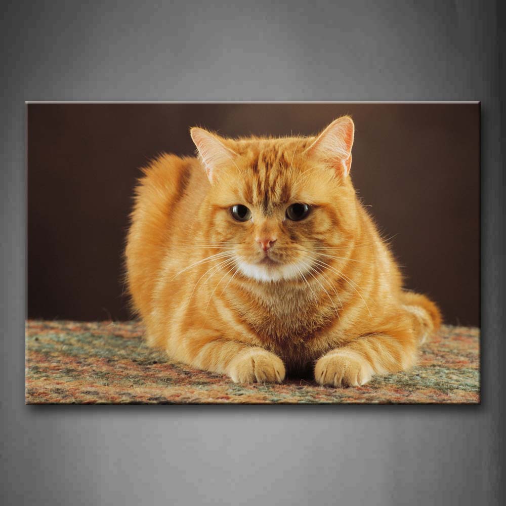 Yellow Cat Sit On Floor Wall Art Painting The Picture Print On Canvas Animal Pictures For Home Decor Decoration Gift 