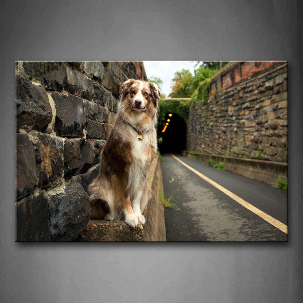 Brown Dog Sit On Stone By Stones Wall Wall Art Painting Pictures Print On Canvas Animal The Picture For Home Modern Decoration 