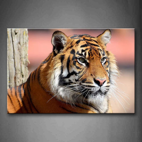 Tiger Head Portrait Wall Art Painting The Picture Print On Canvas Animal Pictures For Home Decor Decoration Gift 