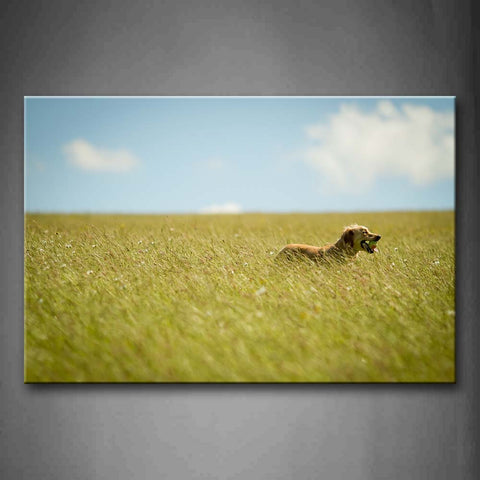 Yellow Dog Stand Among Grass Wall Art Painting Pictures Print On Canvas Animal The Picture For Home Modern Decoration 