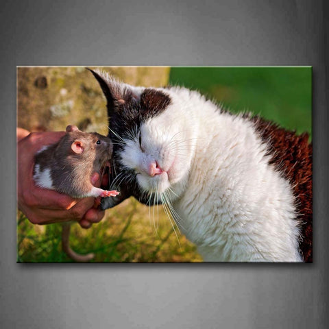 A Mouse Kiss A White Cat'S Head Wall Art Painting Pictures Print On Canvas Animal The Picture For Home Modern Decoration 