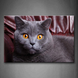 Gray Cat Head Portrait Wall Art Painting The Picture Print On Canvas Animal Pictures For Home Decor Decoration Gift 