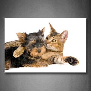 Cute Cat Hug A Cute Dog On Land  Wall Art Painting The Picture Print On Canvas Animal Pictures For Home Decor Decoration Gift 