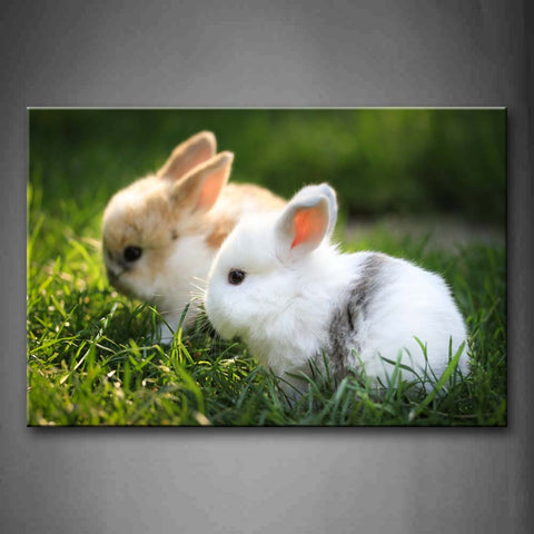 White Rabbit And Yellow Rabbit Sit On Grass Wall Art Painting Pictures Print On Canvas Animal The Picture For Home Modern Decoration 