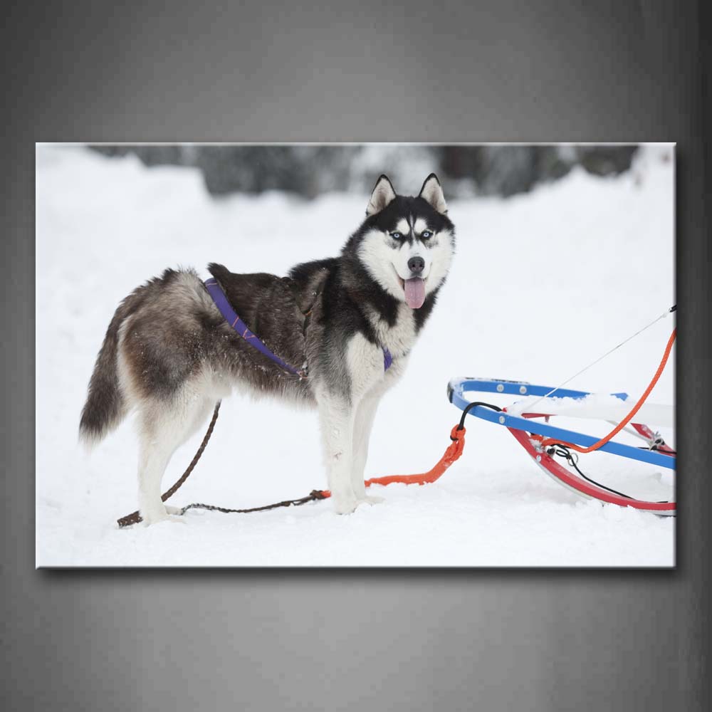 Black Dog Play On Snowfield Wall Art Painting Pictures Print On Canvas Animal The Picture For Home Modern Decoration 