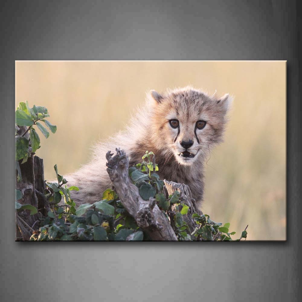 Cheetah Stand Near Woods Wall Art Painting The Picture Print On Canvas Animal Pictures For Home Decor Decoration Gift 