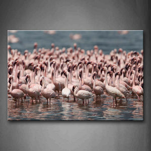 Flamingos Stand In Water  Wall Art Painting The Picture Print On Canvas Animal Pictures For Home Decor Decoration Gift 