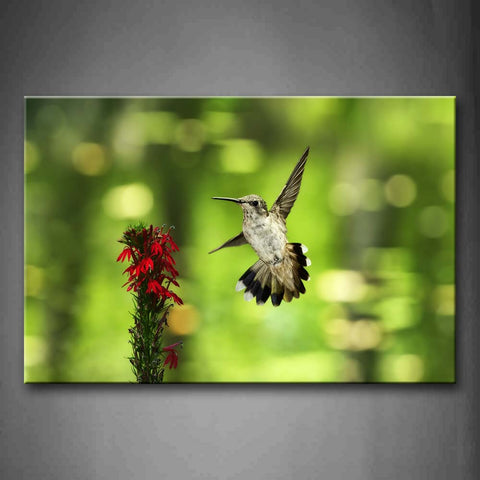 Bird Fly Near Red Flowers Wall Art Painting Pictures Print On Canvas Animal The Picture For Home Modern Decoration 