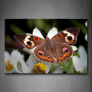 Beautiful Butterfly Stand On White Flowers Wall Art Painting The Picture Print On Canvas Animal Pictures For Home Decor Decoration Gift 