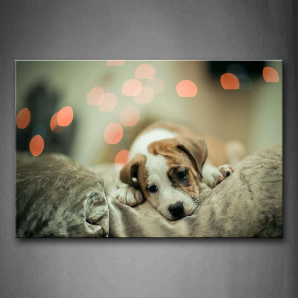 White Dog Lie On Bed  Wall Art Painting Pictures Print On Canvas Animal The Picture For Home Modern Decoration 