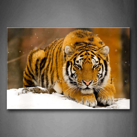 Tiger Sit On Ice Land  Wall Art Painting The Picture Print On Canvas Animal Pictures For Home Decor Decoration Gift 