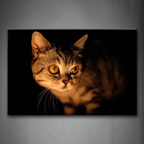 Cat At The Black Background Wall Art Painting The Picture Print On Canvas Animal Pictures For Home Decor Decoration Gift 