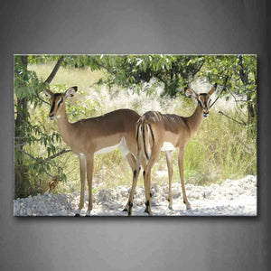 Two Deers Stand Near Trees Wall Art Painting Pictures Print On Canvas Animal The Picture For Home Modern Decoration 