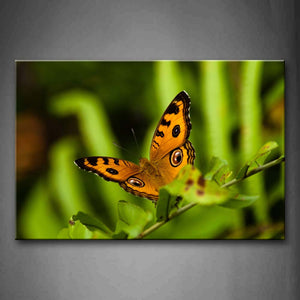 Butterfly Stand On Branch With Leaves Wall Art Painting Pictures Print On Canvas Animal The Picture For Home Modern Decoration 