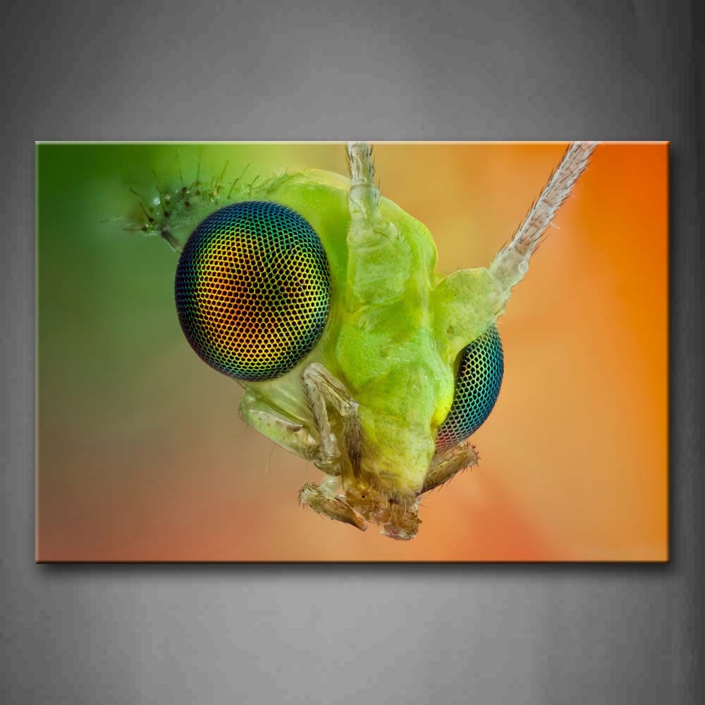 Green Insect At Orange Background Wall Art Painting Pictures Print On Canvas Animal The Picture For Home Modern Decoration 
