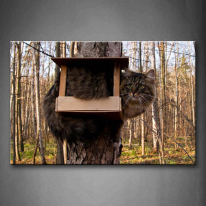 A Fat Cat Stay In Wood Box Hang At Tree Wall Art Painting The Picture Print On Canvas Animal Pictures For Home Decor Decoration Gift 
