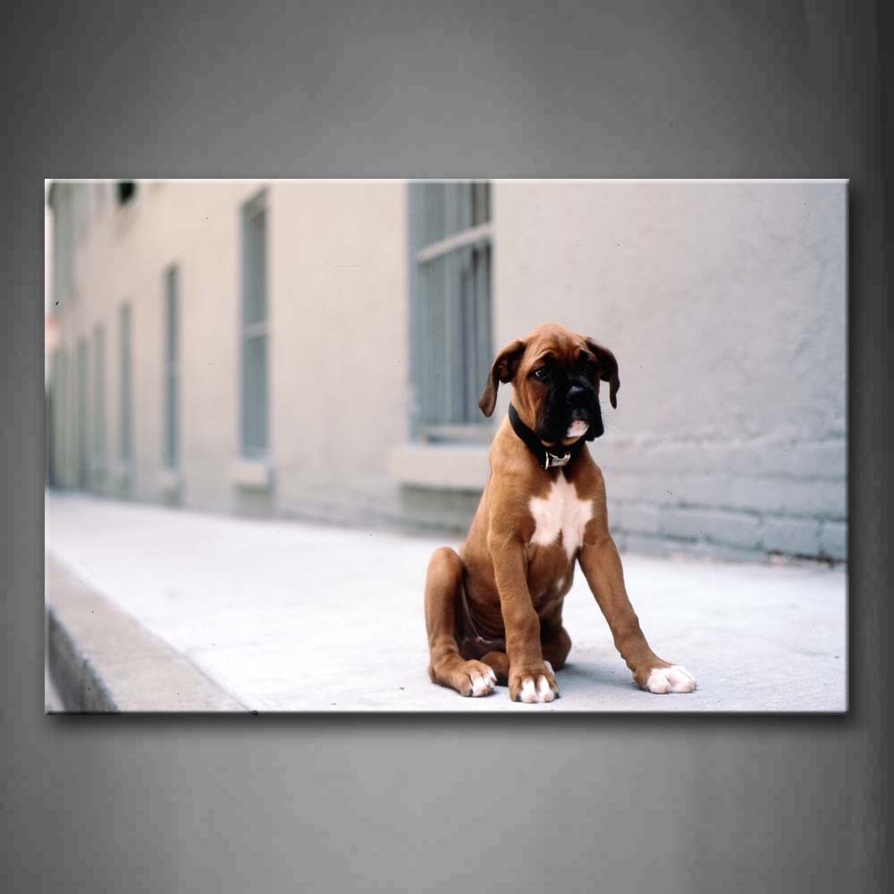 Yellow Dog Sit On Floor Near Window Wall Art Painting Pictures Print On Canvas Animal The Picture For Home Modern Decoration 