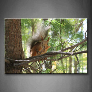 Squirrel Eat Food On The Branch  Wall Art Painting Pictures Print On Canvas Animal The Picture For Home Modern Decoration 