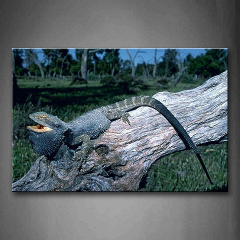 Black Bearded Dragon Stay On Dry Wood Wall Art Painting Pictures Print On Canvas Animal The Picture For Home Modern Decoration 