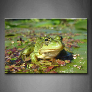 Frog Stay On Lotus Leaf Above Water Wall Art Painting The Picture Print On Canvas Animal Pictures For Home Decor Decoration Gift 