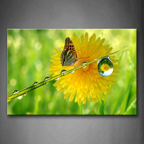 Butterfly Stay On Leaf With Dewdrop Near Flower Wall Art Painting Pictures Print On Canvas Animal The Picture For Home Modern Decoration 