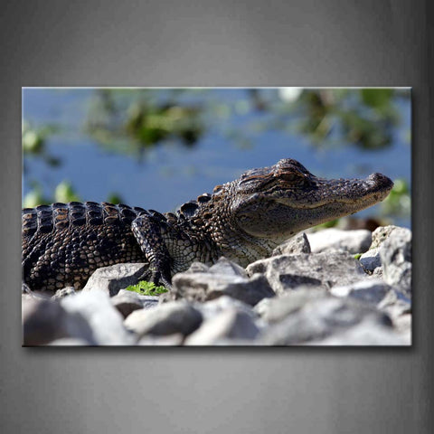 Crocodile Stay On Stones  Wall Art Painting The Picture Print On Canvas Animal Pictures For Home Decor Decoration Gift 