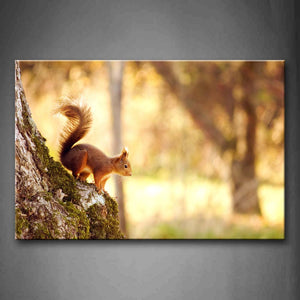 Brown Squirrel Stand On A Trunk Wall Art Painting The Picture Print On Canvas Animal Pictures For Home Decor Decoration Gift 