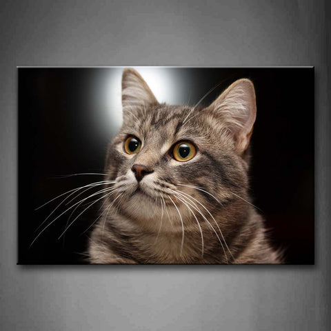 Gray Cat At Black Background Wall Art Painting Pictures Print On Canvas Animal The Picture For Home Modern Decoration 