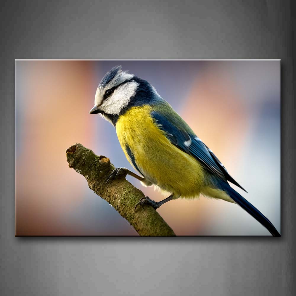 Yellow Bird Stand On Branch Wall Art Painting Pictures Print On Canvas Animal The Picture For Home Modern Decoration 