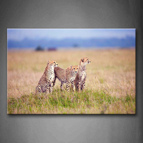 Three Cheetahs Stand In Grass  Wall Art Painting The Picture Print On Canvas Animal Pictures For Home Decor Decoration Gift 